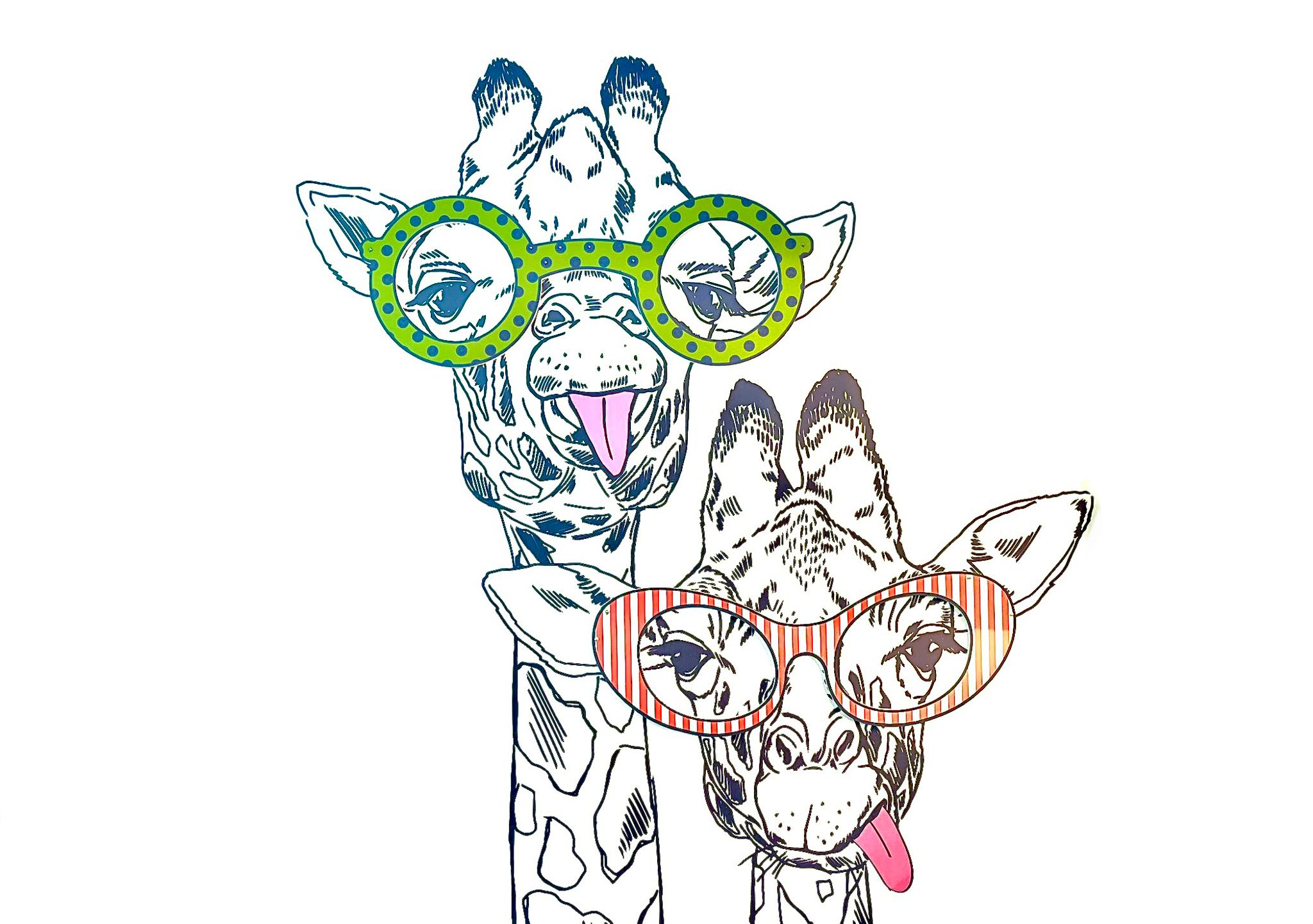 Contattologia - Ottica Foto Fono