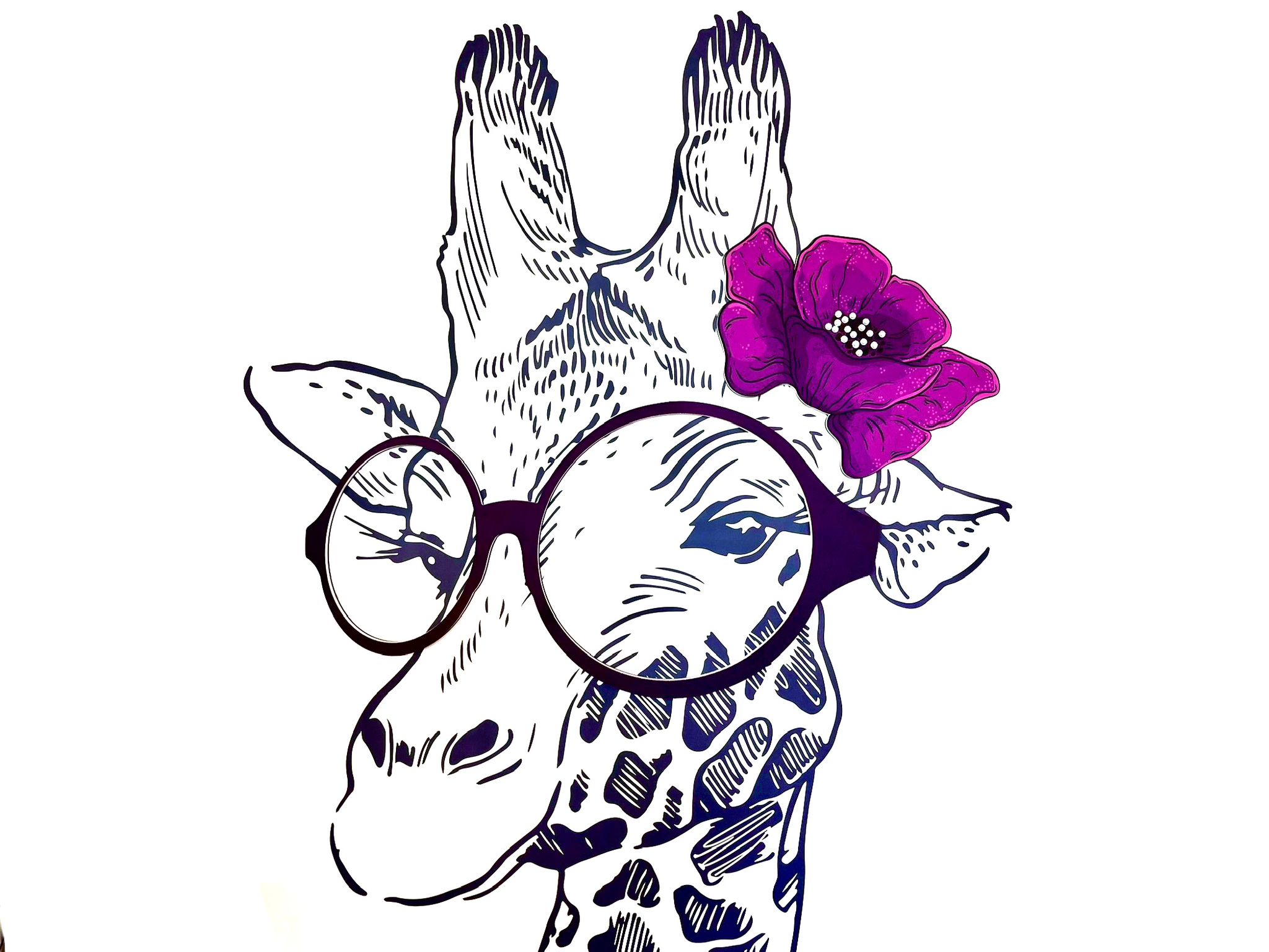 Contattologia - Ottica Foto Fono